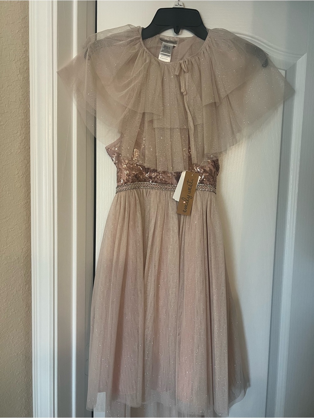 emily west Shimmery Champagne Tulle Party Dress